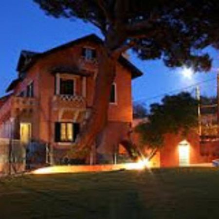 Shepinetree - Pinheira Hotell Vale de Lobos Eksteriør bilde