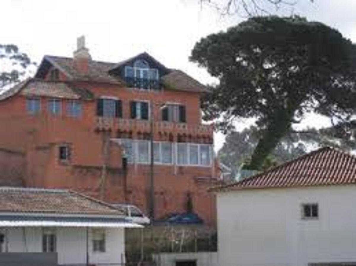 Shepinetree - Pinheira Hotell Vale de Lobos Eksteriør bilde