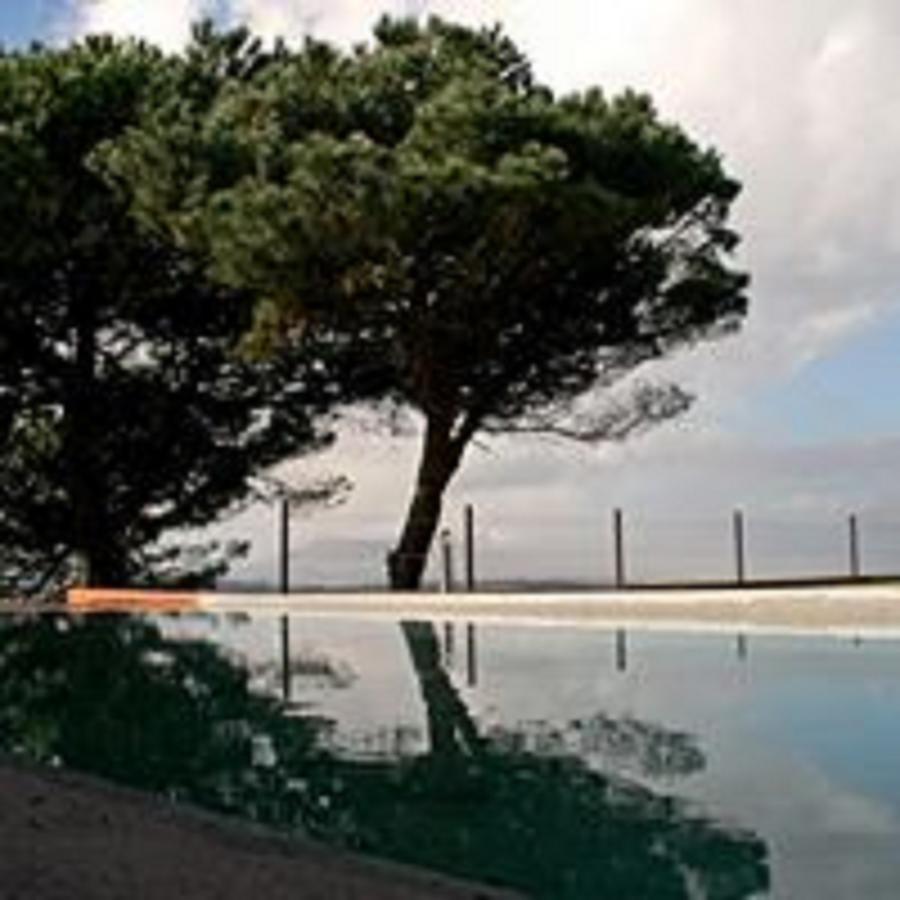 Shepinetree - Pinheira Hotell Vale de Lobos Eksteriør bilde