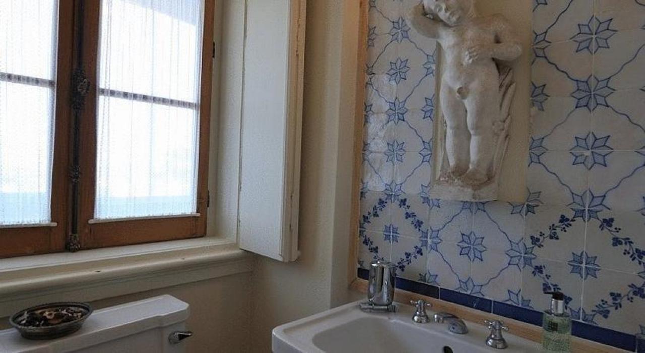 Shepinetree - Pinheira Hotell Vale de Lobos Eksteriør bilde
